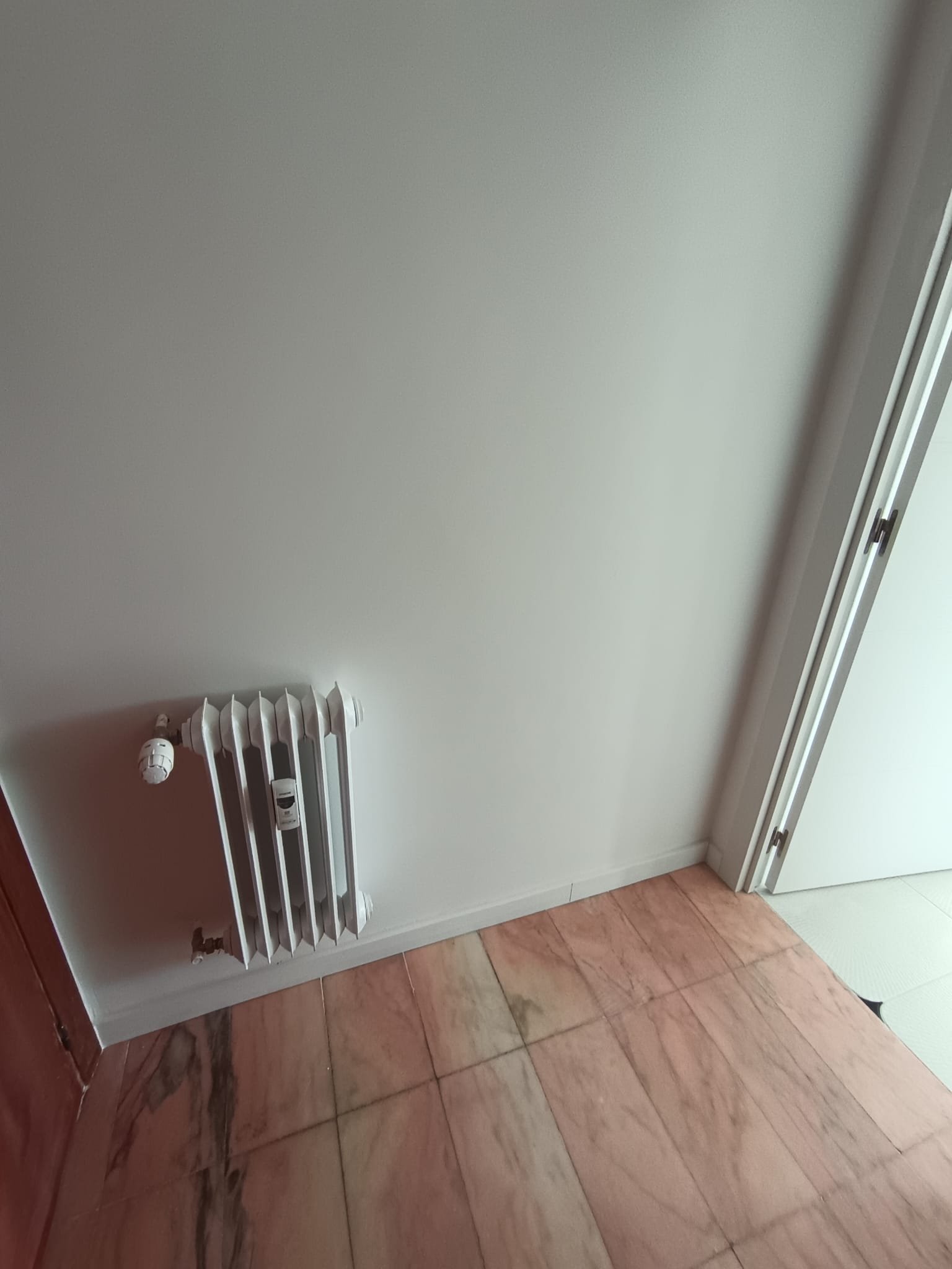 Proyecto 4 finalizado